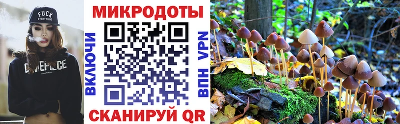 купить наркоту  kraken рабочий сайт  Галлюциногенные грибы Magic Shrooms  Стрежевой 