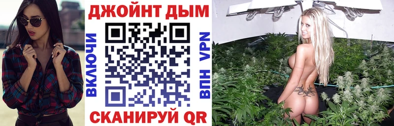 где купить   Стрежевой  Конопля гибрид 